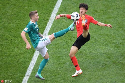 韩国德国世界杯比赛视频直播