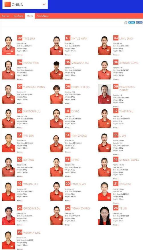 2016中国女排队员名单